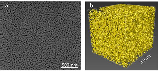 나노다공성 금의 표면 전자현미경(SEM) 이미지(a)와 이를 3차원 재건(b)한 이미지. 매우 작은 기공이 형성된 것을 확인할 수 있다.[UNIST 제공]