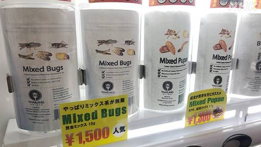귀뚜라미, 메뚜기, 땅강아지 등을 파는 곤충 자동 판매기. 일본 도쿄도 나카노구에 설치돼 있다. 주로 여성이 구매하는 것으로 전해졌다. NHK
