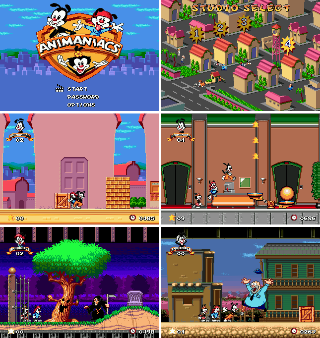 (애니매니악스)