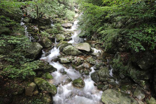 희방계곡 자연관찰로는 계곡과 숲이 어우러져 편안한 휴식을 주는 길이다. ⓒ박준규