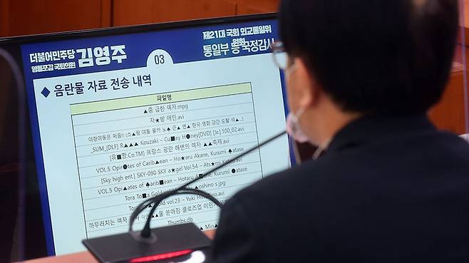 음란물 자료 전송 내역을 바라보는 이승환 민주평화통일자문회의 사무처장