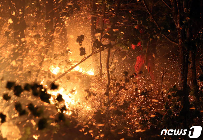 산불(자료 사진)© News1