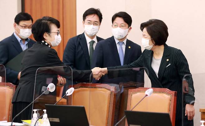 추미애 법무부 장관이 지난 12일 오전 서울 여의도 국회에서 열린 법제사법위원회의 법무부 등에 대한 국정감사에 출석해 김진애 열린민주당 의원과 인사하고 있다 (사진=연합뉴스)