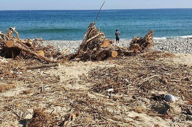 26일 양양군 정암해변에서 한 관광객이 해양쓰레기 사이를 비집고 나가 바다를 보고 있다.(사진=유선희 기자)