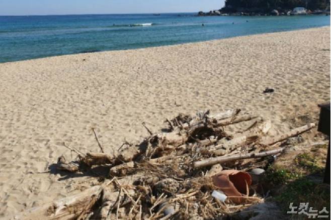 26일 양양 죽도해변에서 해양쓰레기 너머로 서퍼객들이 서핑을 즐기고 있다.(사진=유선희 기자)