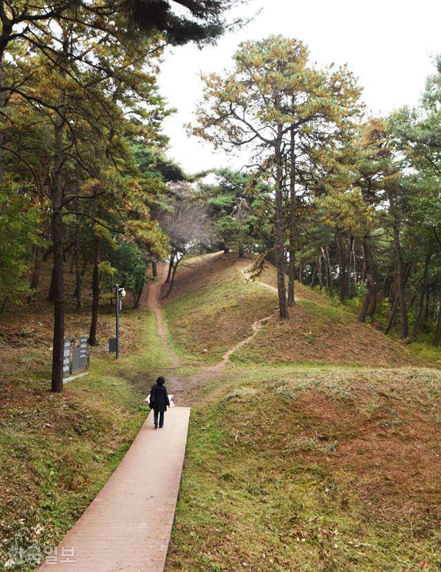 부소산은 규모에 비해 깊고 그윽하다. 곡선이 유려한 토성 주변 산책로를 걸으면 마음도 한결 둥글둥글해진다.