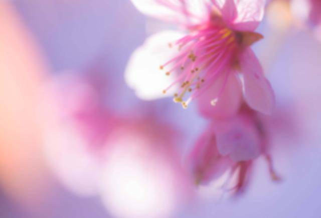 ©게티이미지뱅크