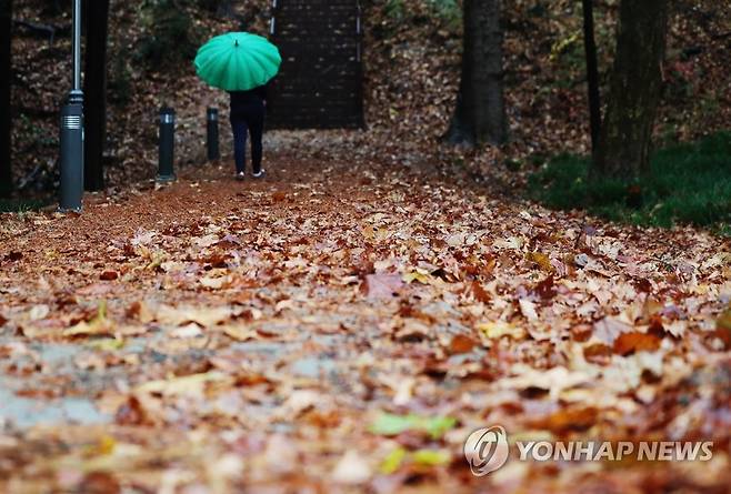 낙엽 적시는 비 지난 19일 오전 낙엽이 지는 광주 북구 전남대학교 교정에 겨울을 재촉하는 비가 내리고 있다. [연합뉴스 자료사진]