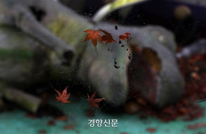 손목이 잘린 티라노사우르스가 놀이공원 바닥에 누워있다. / 김창길 기자