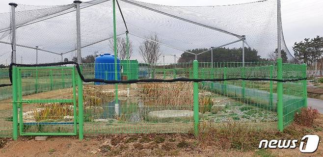 전북 김제농생명마이스터고가 농기계 실습장에 조성한 남생이 연못.2020.12.2 /뉴스1