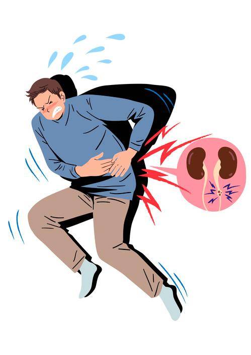 소변을 볼 때 거품이 많거나 색깔이 갈색이거나 붉은 색이라면 사구체 이상 유무를 살펴봐야 한다. 게티이미지뱅크