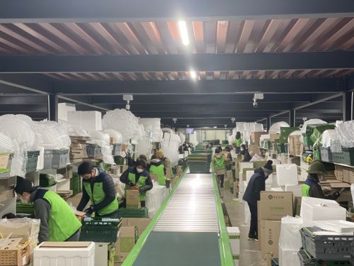 오아시스 경기도 성남물류센터 내 포장존에서 직원들이 컨베이어 벨트에 실려오는 상품들을 담아 택배 포장 작업을 하고 있다.