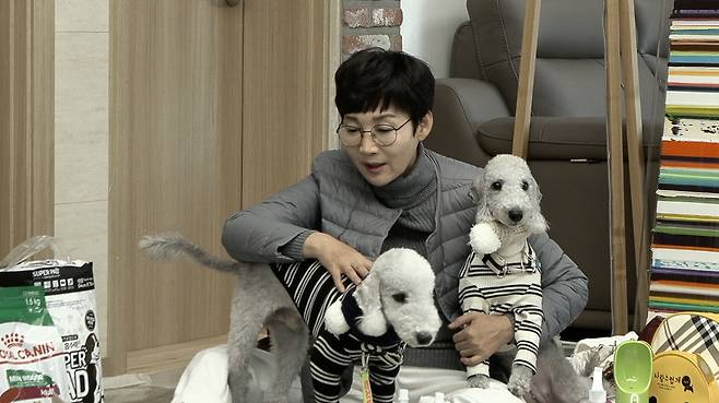 The Pangraks became daily petsitters.JTBC no.1 can not be broadcasted at 10 pm on December 27, depicts a day of the couple who took care of the puppy with the request of Paeng Hyon Sook.Paeng Hyon Sook took care of his acquaintances puppy, but Choi Yang-Rak laughed because he was far away from puppy.However, unlike the early days when I was afraid, I looked at the puppy goods. The sheep that found the beer for dogs felt camaraderie, saying, I have the same taste as me.After that, Yangrak continued to have a friendly conversation with the puppy in the car heading for the walk course, and the performers who watched it were surprised by the rare sight, saying, It is the first time that Yangrak is talking with the eyes and I do not have a conversation with one and Hyuk.Since then, Yangrak has been leaning on his beer and his dog Beer to prepare the food for the puppys, and he has volunteered to puppy and drink mate.My son daughter never drinks together, but you go with me, he said.The couple, who were in charge of snacks for the puppy, were surprised to see the puppy husband Atom yielding snacks to his wife Aromi, and Paeng Hyun Sook envied that we are a couple who can not even have a dog.