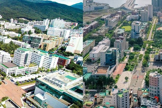 좌측부터 부산대와 부경대 전경(사진=자료사진)