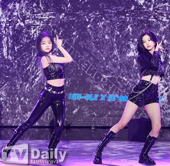 티브이데일리 포토