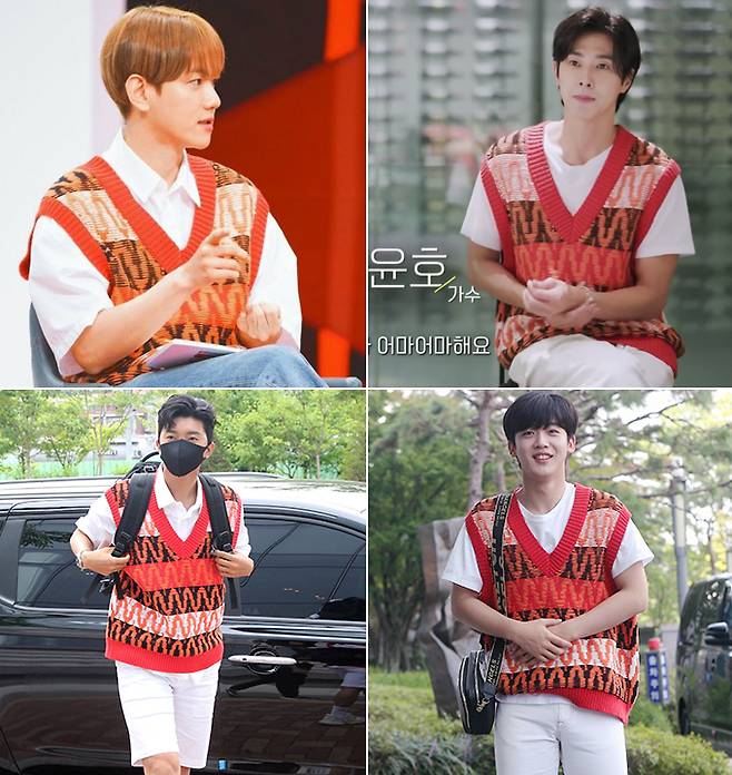 /사진=슈퍼엠 예능 tvN '원하는대로', 보아 리얼리티 '모두가 그녀에게 말을 걸지 않아' 방송화면, 머니투데이 DB