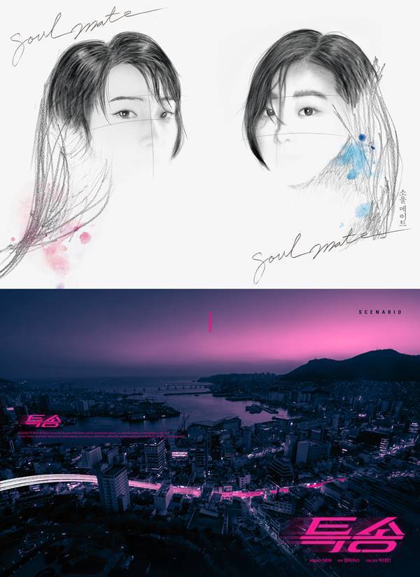 사진='소울메이트', '특송' 포스터