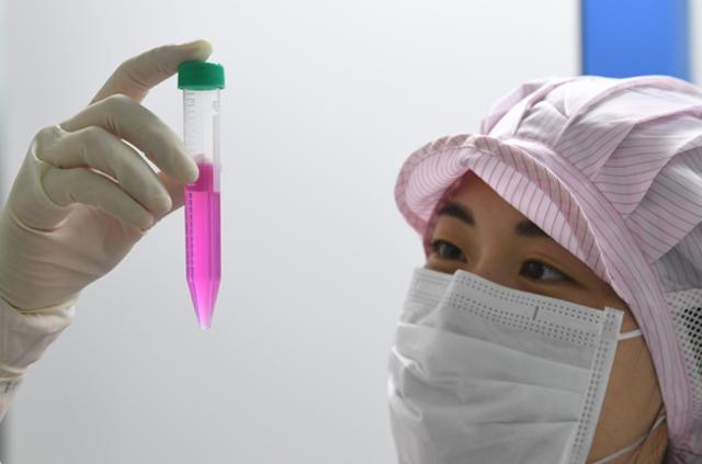 한 연구원이 백신의 역가시험을 위한 세포배양액 계대 과정 중 원심분리 전에 세포가 잘 혼합되어 있는지 확인하고 있다.