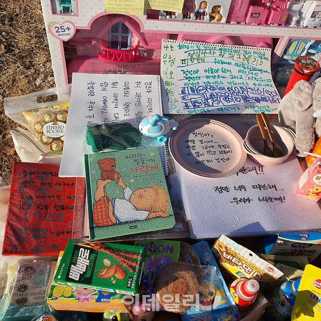 6일 경기도 양평군 하이패밀리 안데르센 공원묘지 고(故)정인양 장지에 추모품들이 놓여 있다. (사진=공지유 기자)