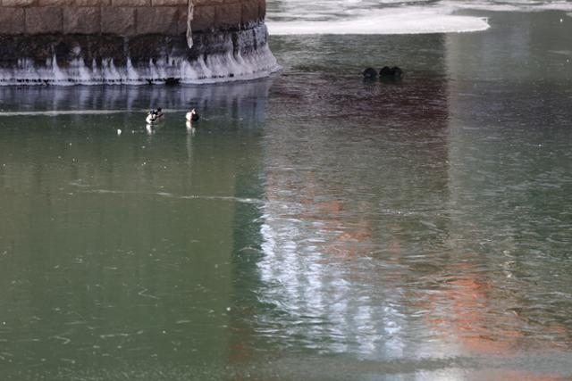 올겨울 한강 첫 결빙이 관측된 9일 오전 서울 노들섬 인근 얼어있는 한강 위에 오리가 앉아있다. 연합뉴스