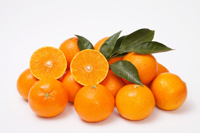 겨울철 귤은 비타민 C가 풍부하지만 적정 권장량은 중간크기의 귤 2개다. / 사진=클립아트코리아