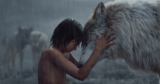 늑대와 인간이 공생하는 영화의 한 장면./네이버영화 캡처