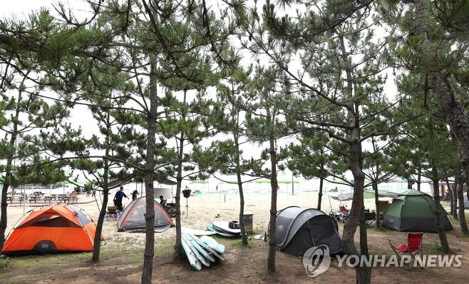 캠핑 [연합뉴스 자료사진]
