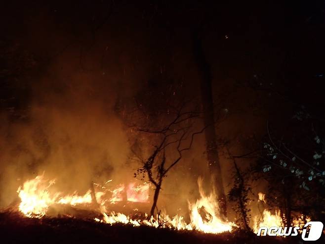화재현장.(부산소방재난본부 제공) © 뉴스1