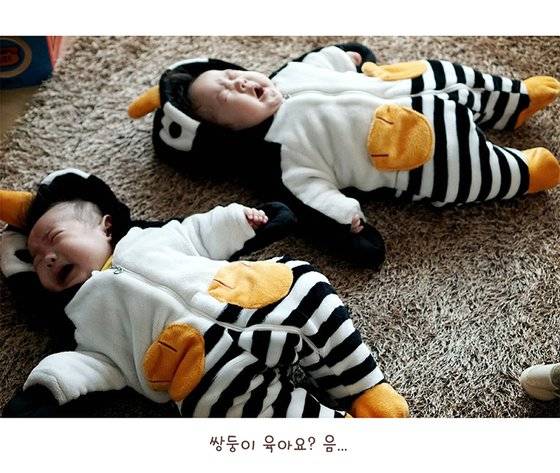 열무와 알타리 유아 시절. 사진 이유영 작가