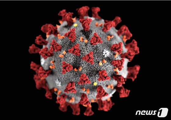 미국 질병통제예방센터(CDC)가 제작한 2019 신종 코로나바이러스 모형도. © 로이터=뉴스1