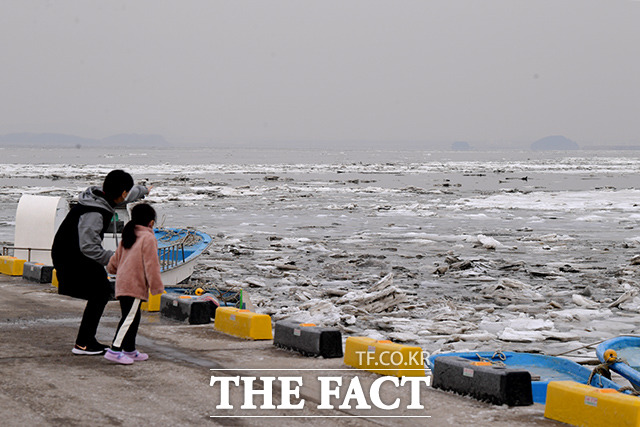 북극발 한파의 영향으로 영하의 강추위가 계속되고 있는 11일 오후 인천 중구 예단포 선착장에서 한 어린이가 엄마와 함께 얼어붙은 바다를 바라보고 있다. /인천=이선화 기자