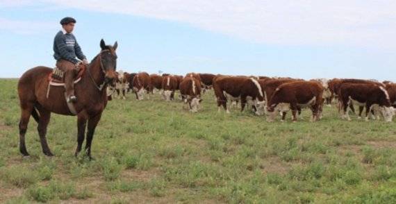 사진=엘아사도르 제공