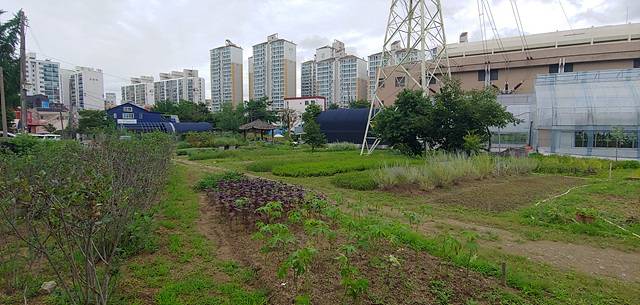 허브체험공원 대상지 근경