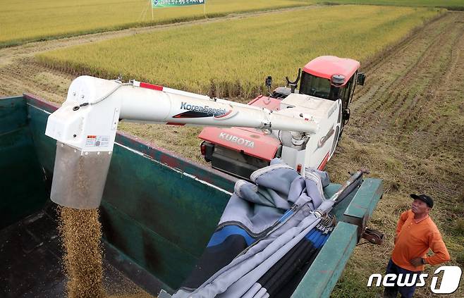 강원 양구 벼베기 모습. (자료 사진)© News1