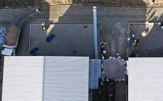 고병원성 조류인플루엔자(AI) 확진 판정을 받은 경기도 안성시의 한 산란계 농장에서 14일 살처분 작업을 진행하고 있다. (사진=연합뉴스)