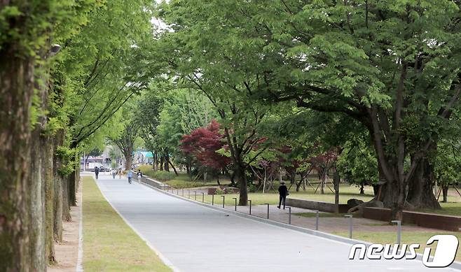 전남대 민주길 내 '민주도로'.(전남대 제공)2021.1.14/뉴스1 © News1