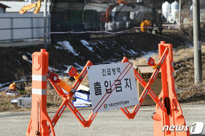 충남 홍성군 구항면의 육용종계 농장에서 발생한 AI(조류인플루엔자)가 고병원성으로 확인됐다.© 뉴스1 최현구 기자
