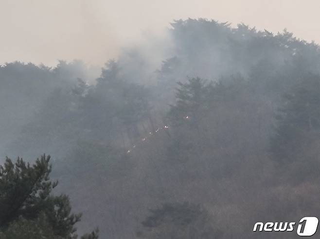 강원 인제군 인제읍 덕적리 산불(북부지방산림청 제공)© 뉴스1