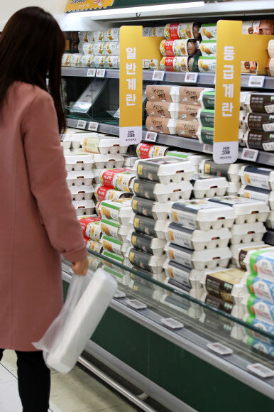 고병원성 조류인플루엔자(AI) 확산으로 달걀 가격이 오른 지난 15일 서울의 한 대형마트에서 시민이 장을 보고 있다. 연합뉴스