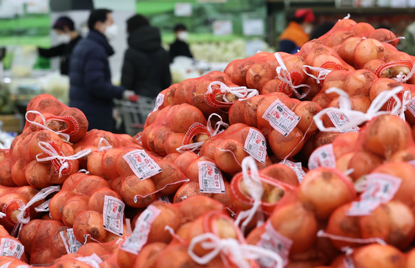 14일 오후 서울 서초구의 한 대형 마트 채소 코너에서 시민들이 장을 보고 있다./연합뉴스