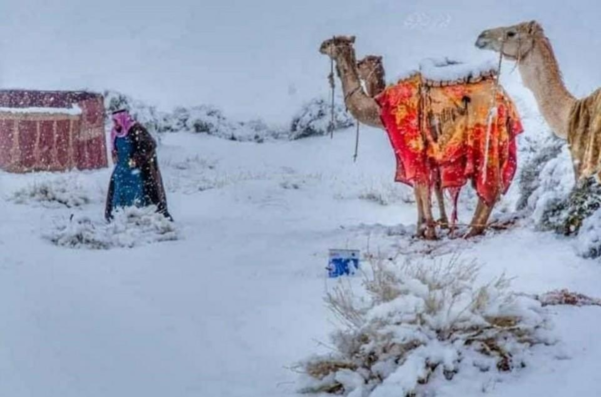 14일(현지시각) 눈이 쌓인 사우디 남서부의 아시르 지역. /페이스북 캡처