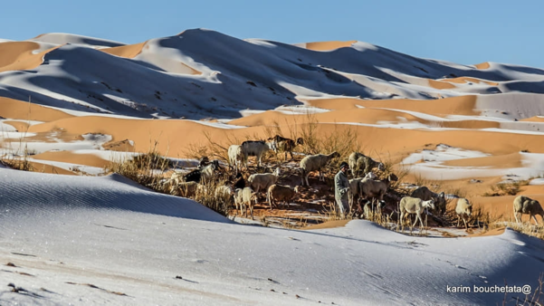 북아프리카 사하라 사막에 눈이 쌓여있다. /사진작가 카림 부셰타타 페이스북 캡처.