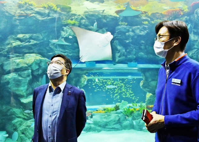 염태영(왼쪽) 수원시장이 대형 수족관 ‘아쿠아플라넷 광교’를 둘러보고 있다. /사진제공=수원시