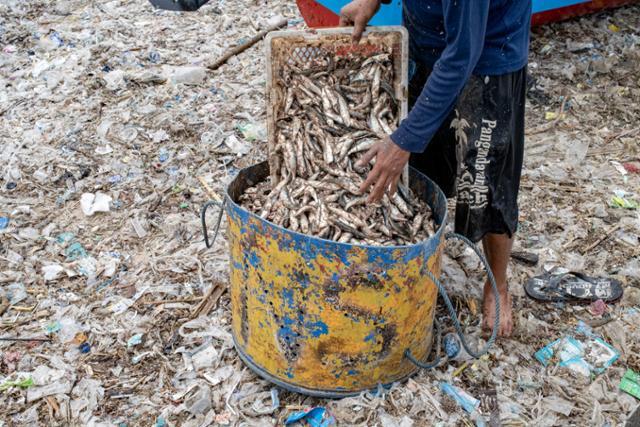 인도네시아 발리섬 끄동아난의 어촌에서 18일 한 어부가 플라스틱 쓰레기가 덮인 해변에서 잡은 물고기를 바구니에 옮겨담고 있다. 발리=EPA 연합뉴스