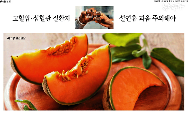2019년 1월 22일 조선일보의 '씨스팡' 광고 기사.