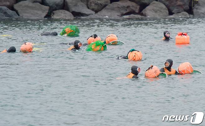 제주시 이호동 해안에서 해녀들이 해산물을 채취하고 있다.2019.7.11 /뉴스1 © News1
