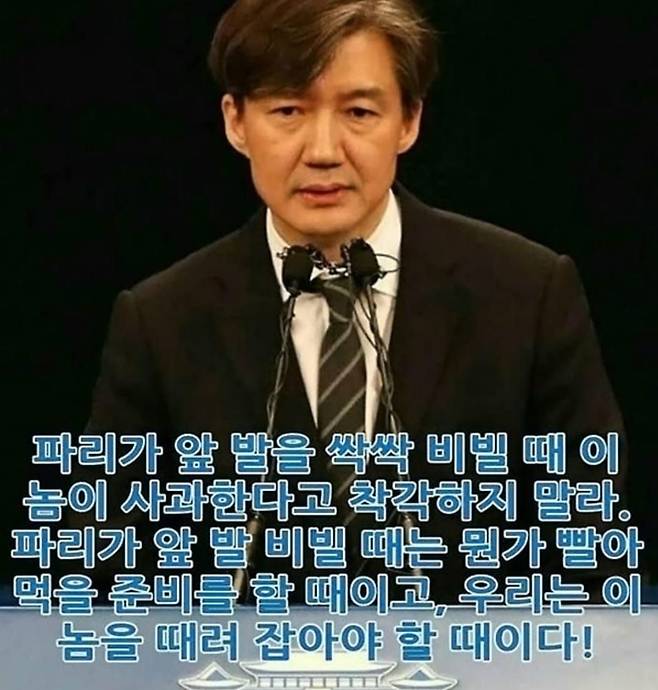 조국 전 법무장관이 2010년 소셜미디어에 올린 것으로 알려진 게시글 내용. /페이스북