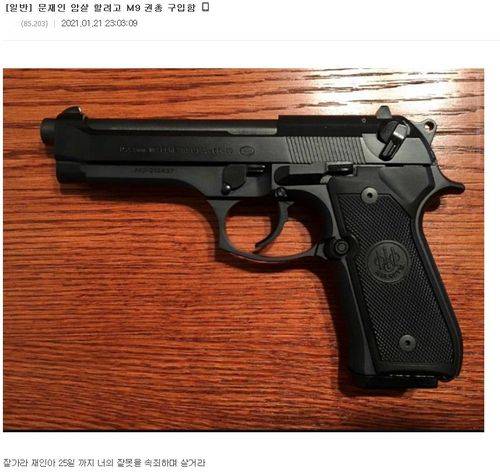 지난 22일 밤 인터넷 커뮤니티 '디시인사이드'에 "대통령을 암살하기 위해 권총을 샀다"며 올라온 인증샷./디시인사이드 캡처