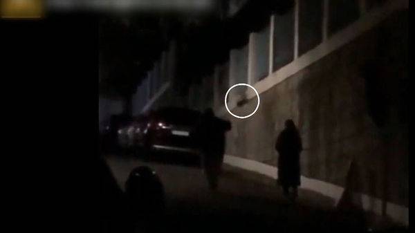 '쥐불놀이 학대' 주인 곁으로 결국 돌아간 반려견.