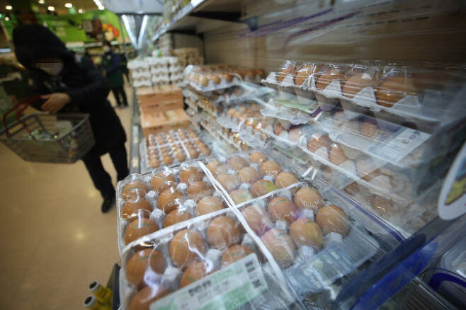 고병원성 조류인플루엔자(AI)가 꾸준히 발생하면서 달걀 가격이 계속 오르고 있다. 12일 서울 한 대형마트의 달걀 판매대 모습(사진=연합뉴스)